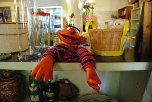 A puppet of Ernie from Sesame Street sits on the shelf at Bellefonte Variety Store in Bellefonte, Pennsylvania, Tuesday, April 7th.